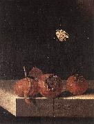 COORTE, Adriaen Three Medlars with a Butterfly zsdgf oil painting on canvas
